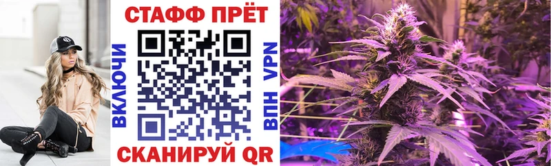 Цена Светлогорск COCAIN  Альфа ПВП  Псилоцибиновые грибы  Меф мяу мяу  Марихуана  АМФ 