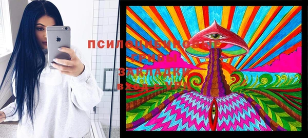 гидра Беломорск