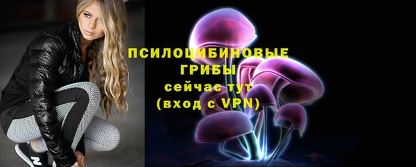 марки nbome Белокуриха