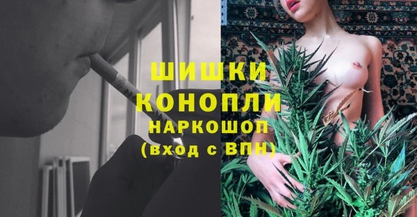 крисы Белоозёрский